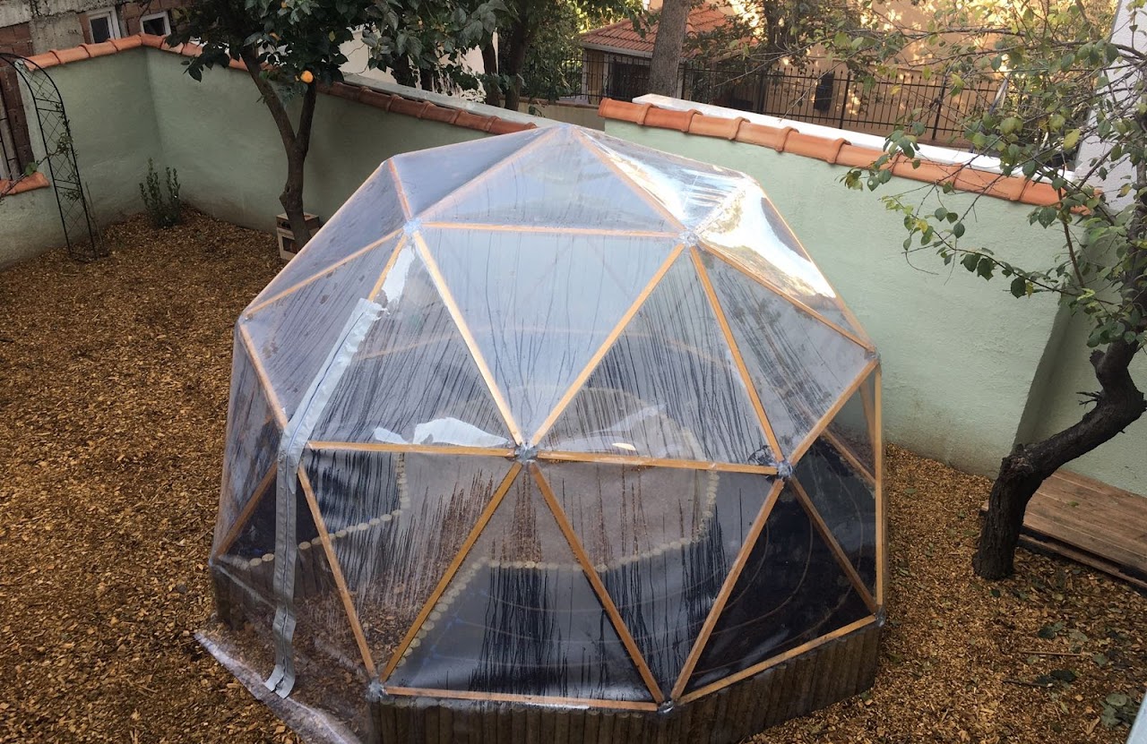 greenhouse 004